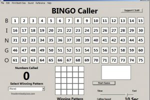 bingo caller app for windows